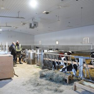 Dairy Barn Construction | ARCO Building Industries